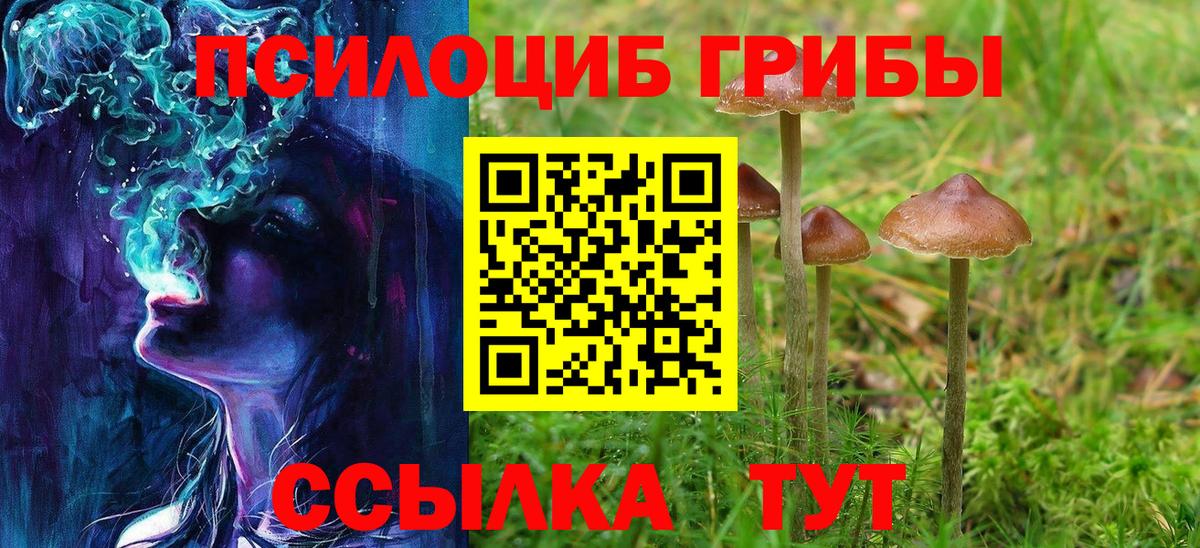 Анжеро-Судженск  Галлюциногенные грибы Psilocybe  Вход с VPN  Галлюциногенные грибы Psilocybe 
