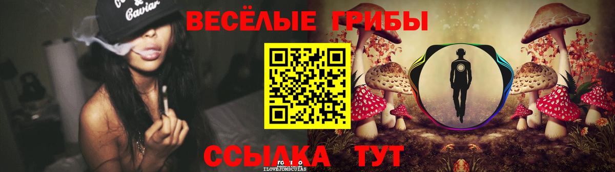 Галлюциногенные грибы Cubensis Анжеро-Судженск